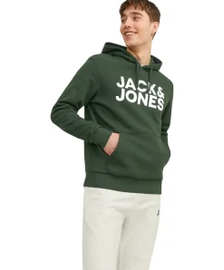 Jack & Jones Kapuzensweatshirt mit Logo-Brustprint in Grün