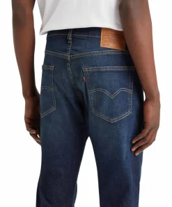 Levis Herren Taper Jeans 502 in Biologia